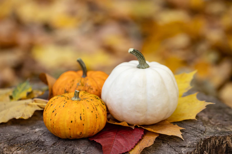 Oktober: spooky season!
